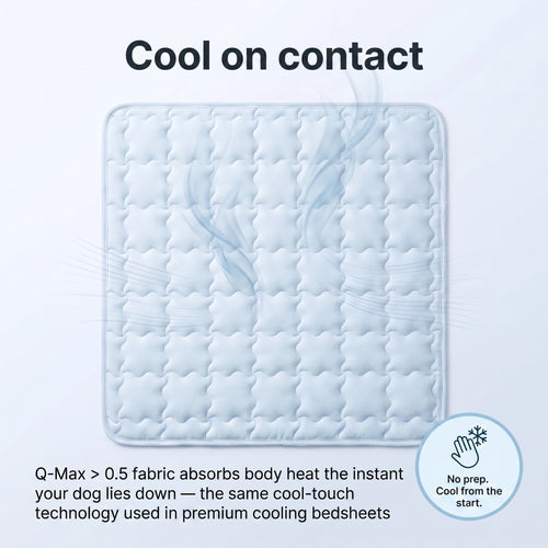 Cooling Mat for Pets
