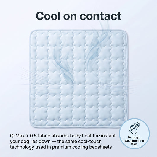 Cooling Mat for Pets