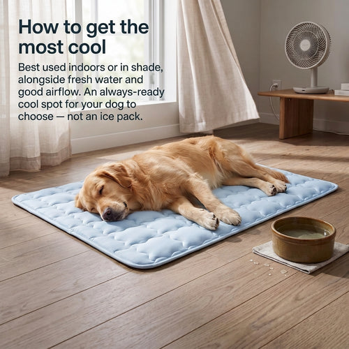 Cooling Mat for Pets