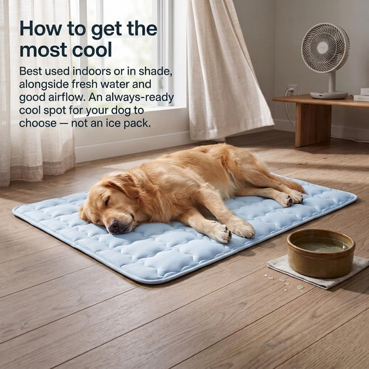 Cooling Mat for Pets
